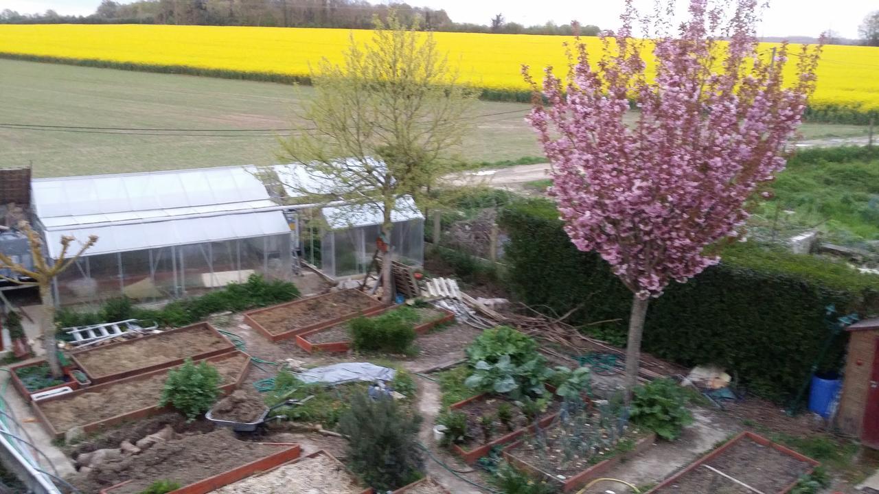 Les Nympheas, Appart Au Calme Et Grand Jardin A 15 Min De Disneyland, Crecy-la-Chapelle Екстериор снимка